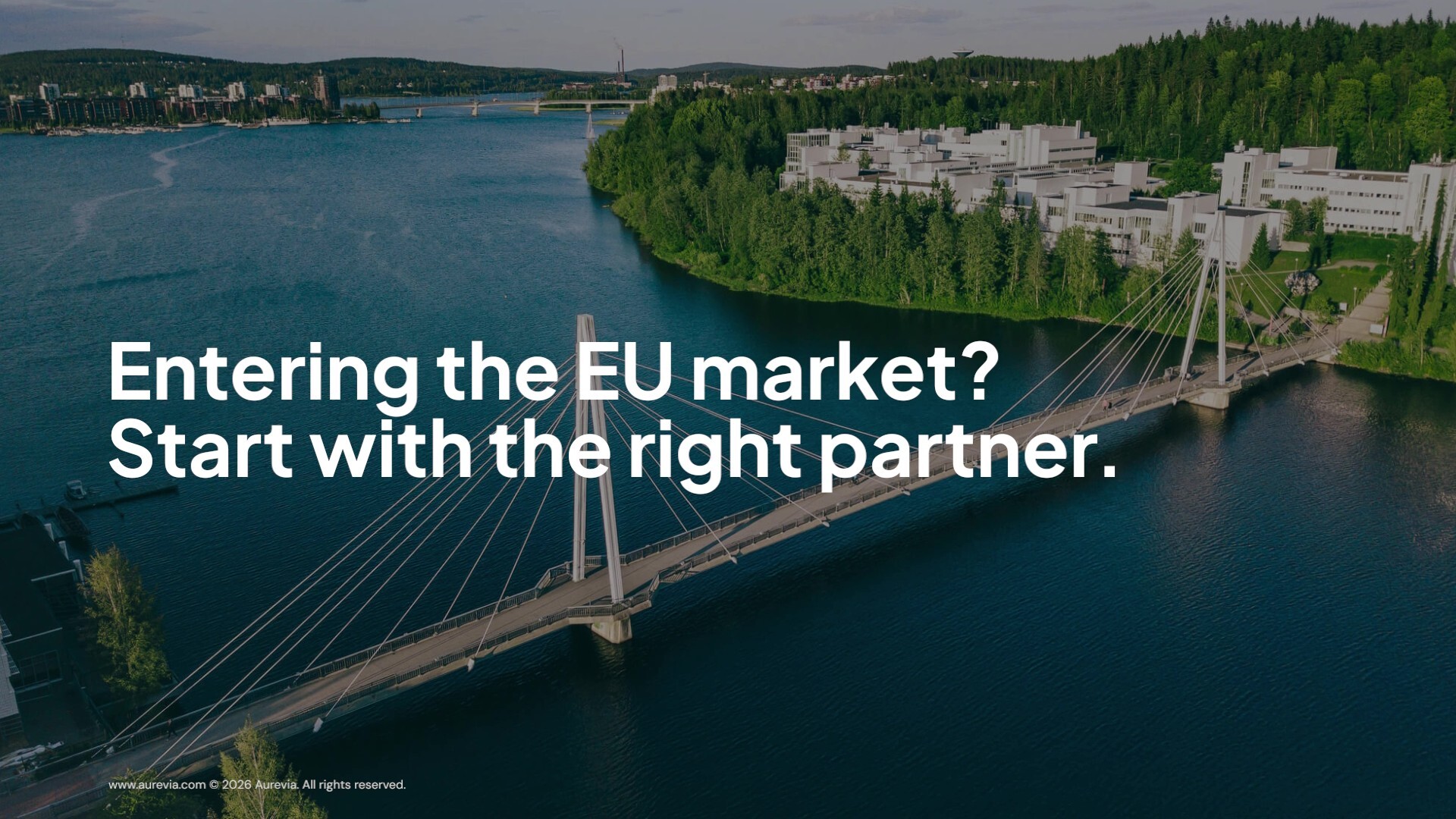 We help medical device or IVD manufacturers expand into the EU market. 